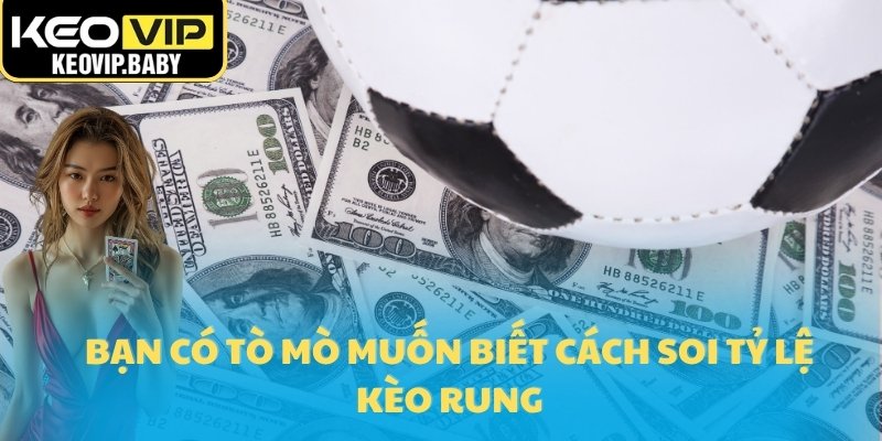 Cách Soi Tỷ Lệ Kèo Rung Chính Xác Khi Xem Live 2025 1 Bạn có tò mò muốn biết cách soi tỷ lệ kèo rung