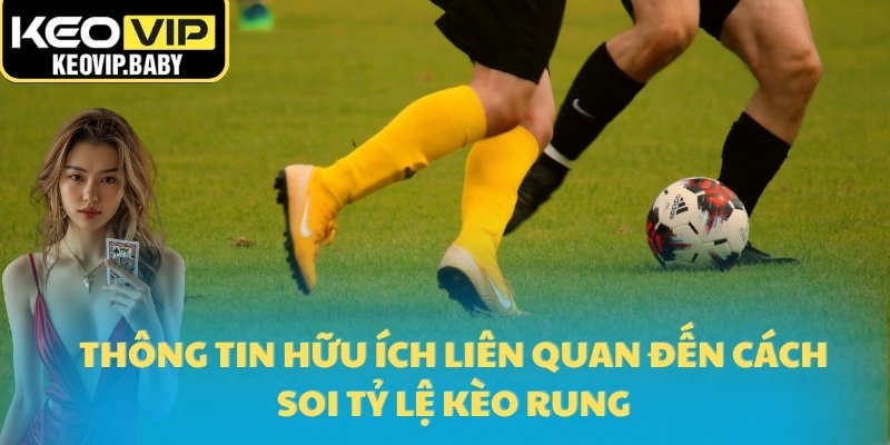 Cách Soi Tỷ Lệ Kèo Rung Chính Xác Khi Xem Live 2025 3 Thông tin hữu ích liên quan đến cách soi tỷ lệ kèo rung