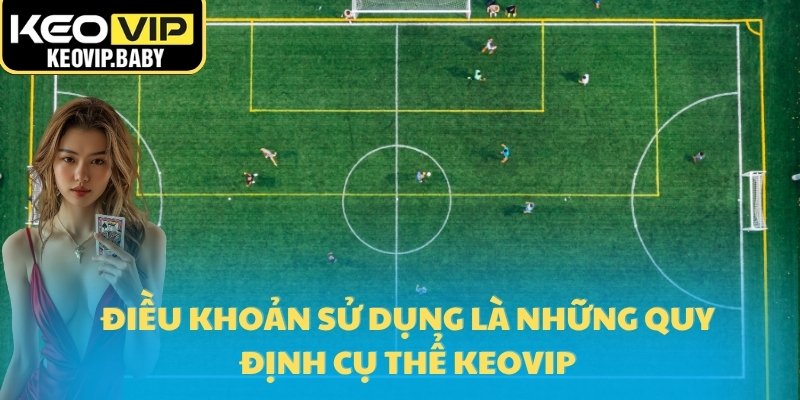Điều Khoản Sử Dụng Keovip 2025 Mới Cho Bạn Tham Gia 1 Điều khoản sử dụng là những quy định cụ thể Keovip