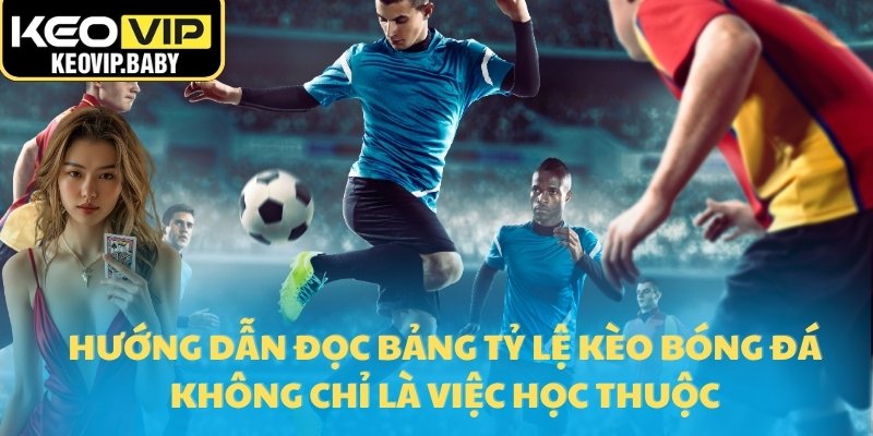 Hướng dẫn đọc bảng tỷ lệ kèo bóng đá không chỉ là việc học thuộc