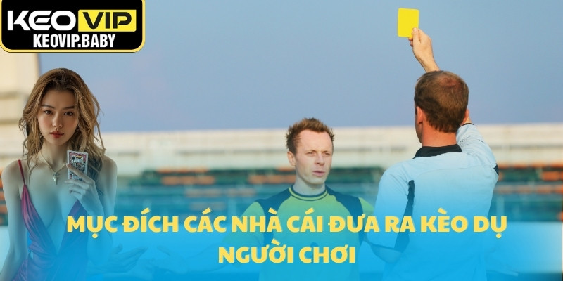 Cách Phát Hiện Kèo Dụ Qua Tỷ Lệ Kèo Bóng Đá 2 Mục đích các nhà cái đưa ra kèo dụ người chơi