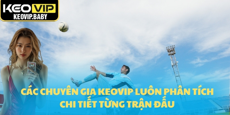 Kinh Nghiệm Soi Kèo Theo Tỷ Lệ Kèo Của Dân Chuyên Nghiệp 2 Các chuyên gia Keovip luôn phân tích chi tiết từng trận đấu