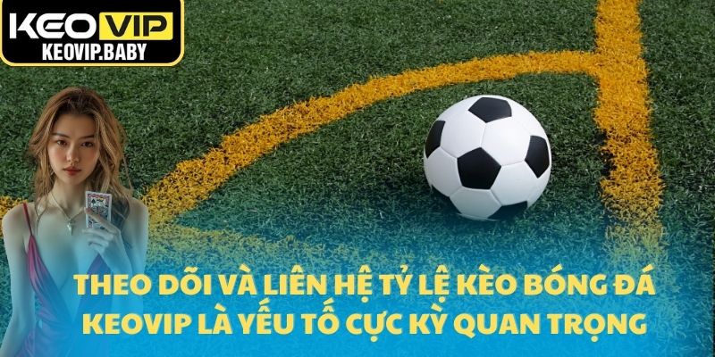 Liên Hệ Tỷ Lệ Kèo Bóng Đá Keovip 2025 Những Điều Cần BiếtH 1 Theo dõi và liên hệ tỷ lệ kèo bóng đá Keovip là yếu tố cực kỳ quan trọng