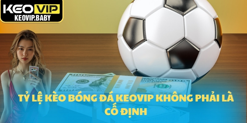 Liên Hệ Tỷ Lệ Kèo Bóng Đá Keovip 2025 Những Điều Cần BiếtH 2 Tỷ lệ kèo bóng đá Keovip không phải là cố định