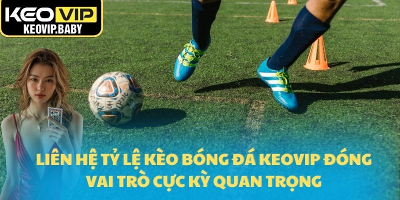 Liên Hệ Tỷ Lệ Kèo Bóng Đá Keovip 2025 Những Điều Cần BiếtH 3 Liên hệ tỷ lệ kèo bóng đá Keovip đóng vai trò cực kỳ quan trọng