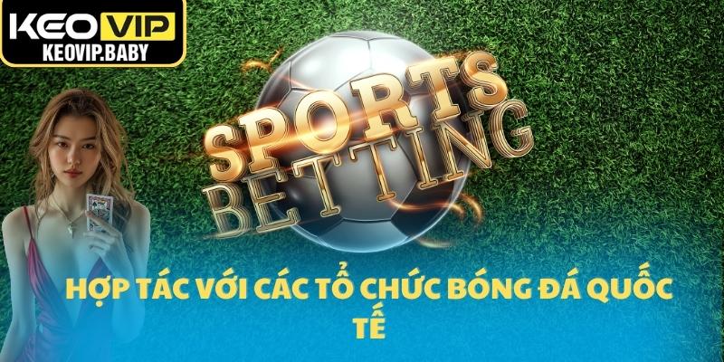 Livescore 2 Hợp tác với các tổ chức bóng đá quốc tế