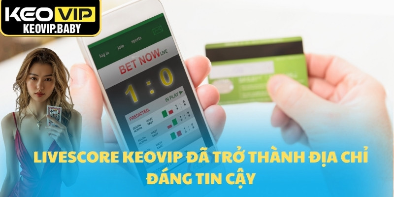 Livescore 3 Livescore Keovip đã trở thành địa chỉ đáng tin cậy