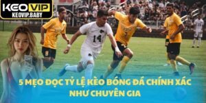 mẹo đọc tỷ lệ kèo bóng đá