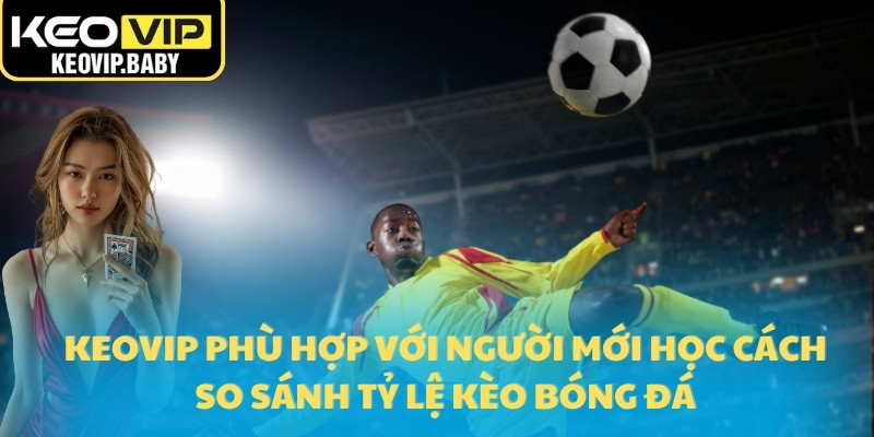 So Sánh Tỷ Lệ Kèo Bóng Đá Với Dữ Liệu Cập Nhật Từ Keovip 3 Keovip phù hợp với người mới học cách so sánh tỷ lệ kèo bóng đá