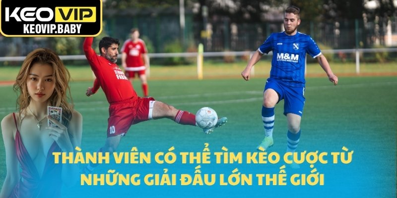 Hướng Dẫn Soi Kèo Bóng Đá Để Đặt Cược Hợp Lý 2025 1 Thành viên có thể tìm kèo cược từ những giải đấu lớn