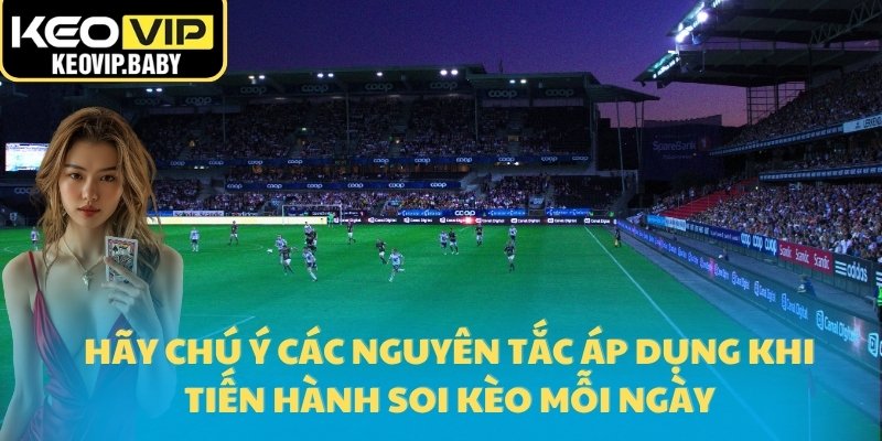 Hướng Dẫn Soi Kèo Bóng Đá Để Đặt Cược Hợp Lý 2025 3 Hãy chú ý các nguyên tắc áp dụng khi tiến hành soi kèo mỗi ngày