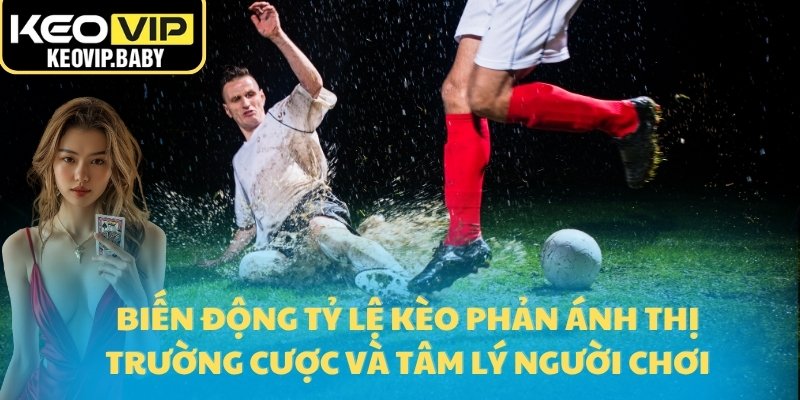 Tổng Hợp Tỷ Lệ Kèo Hot Hôm Nay Từ Các Trận Cầu Đỉnh Cao 2 Biến động tỷ lệ kèo phản ánh thị trường cược và tâm lý người chơi