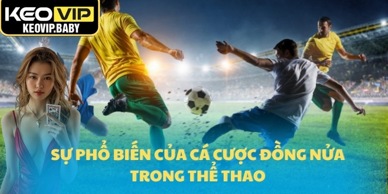 Tỷ Lệ Kèo 0.25 – Bẫy Ngọt Của Nhà Cái Năm 2025 2 Sự phổ biến của cá cược đồng nửa trong thể thao