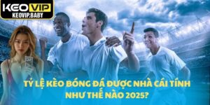 Tỷ lệ kèo bóng đá được nhà cái tính như thế nào