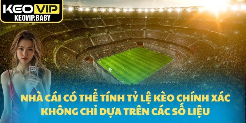 Tỷ Lệ Kèo Bóng Đá Được Nhà Cái Tính Như Thế Nào 2025? 3 Nhà cái có thể tính tỷ lệ kèo chính xác không chỉ dựa trên các số liệu