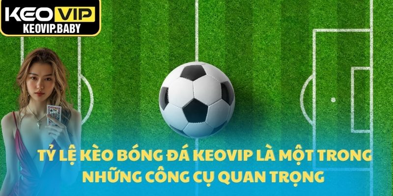 Tỷ Lệ Kèo Bóng Đá Keovip – Chiến Thuật Thắng Lợi Trong 2025 1 Tỷ lệ kèo bóng đá Keovip là một trong những công cụ quan trọng