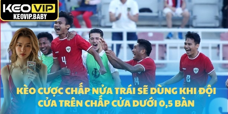 Tỷ Lệ Kèo Châu Á Là Gì? Cách Tính Và Đọc Đơn Giản 2 Kèo cược chấp nửa trái sẽ dùng khi đội cửa trên chấp cửa dưới 0,5 bàn