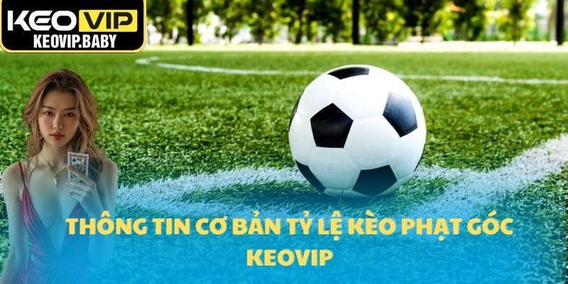 Tỷ Lệ Kèo Phạt Góc Và Cách Chơi Chuẩn Xác 2025 1 Thông tin cơ bản tỷ lệ kèo phạt góc Keovip