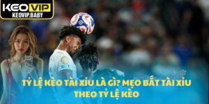 Tỷ Lệ Kèo Tài Xỉu